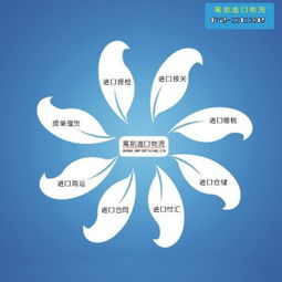 合肥食品進口報關(guān)流程及時間解析 上海港口報關(guān)代理與國內(nèi)貿(mào)易代理服務(wù)