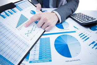 洞察市場，鏈接貿易 國內知名市場調研與貿易代理服務機構概覽