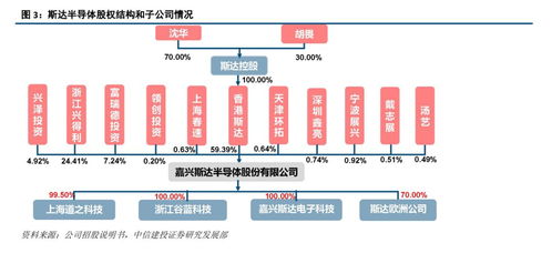 斯達半導 IGBT模塊國內領先廠商，有望受益于國產替代與行業增長